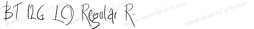 BT 12G LCD Regular R字体转换